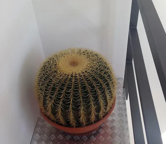 Assembleia Marcoense